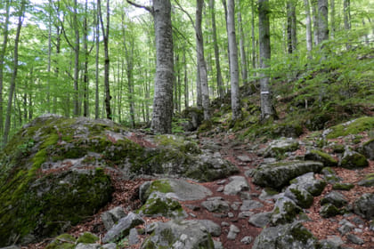 Full Day Tour of Rila Monastery and St. Ivan Cave from Sofia