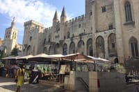 Avignon Popes Palace and Châteauneuf du Pape Wine tour 3