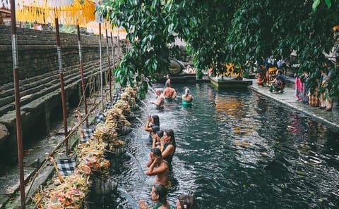 Kintamani and Tampaksiring Cultural Tour in Bali