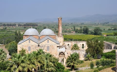 Ephesus and Temple of Artemis Tour from Kuşadası Port
