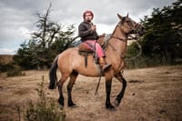 Argentinian gaucho poses on his horse bridled with an ornate harness.