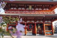 Tokyo Early Morning Tour Asakusa Meiji Shrine (Private Opt) 1