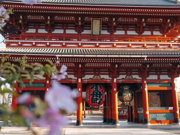 Tokyo Early Morning Tour Asakusa Meiji Shrine (Private Opt)