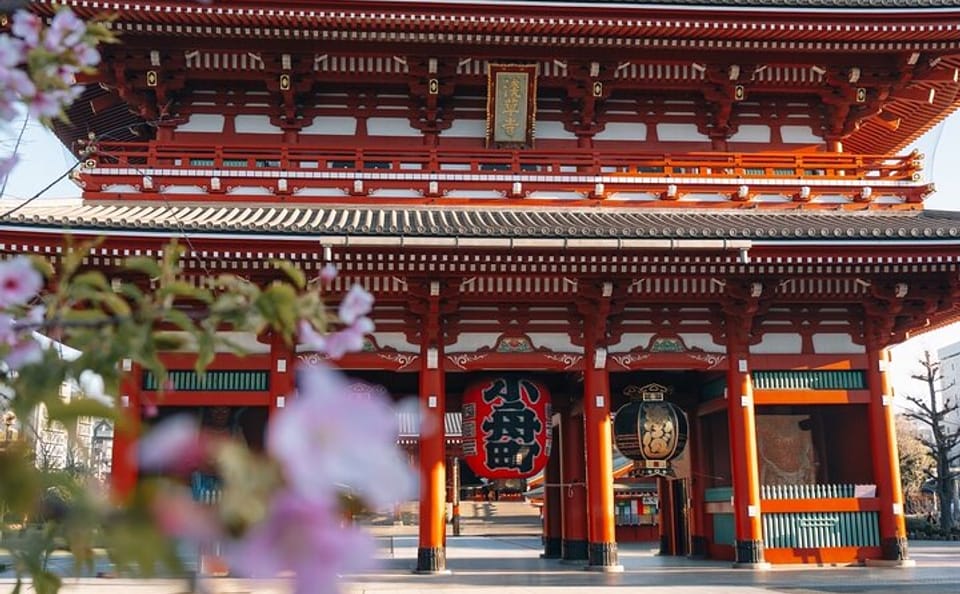 Tokyo Early Morning Tour Asakusa Meiji Shrine (Private Opt)
