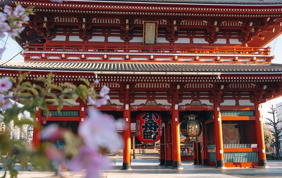 Tokyo Early Morning Tour Asakusa Meiji Shrine (Private Opt)