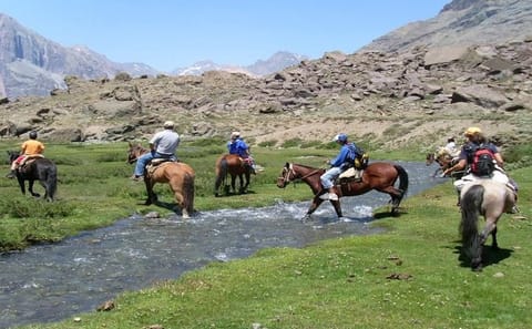 Horseback Riding and Wine Tasting Tour in Santiago, Chile