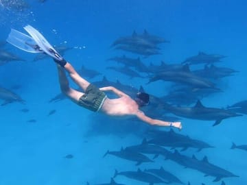 Snorkeling Tour at Dolphin House in Hurghada, Egypt