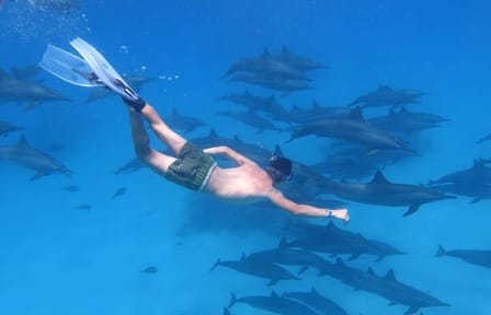 Snorkeling Tour at Dolphin House in Hurghada, Egypt