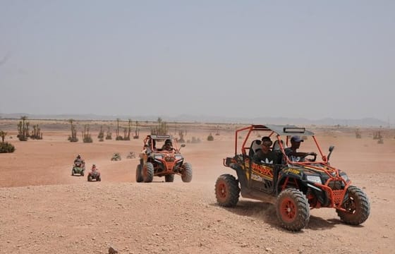 Buggy Tour in Marrakech Palm Grove