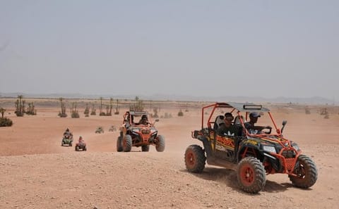 ATV Buggy Adventure in Marrakech Palm Grove