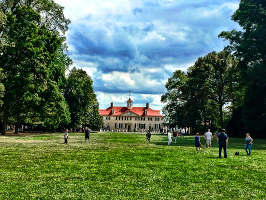 MOUNT VERNON.