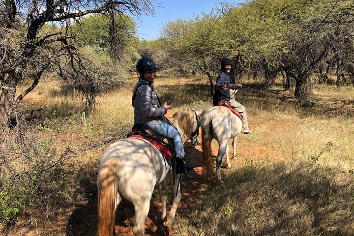 Scenic reserve views on horse safari from johannesburg tour