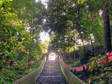 walk out of pagoda