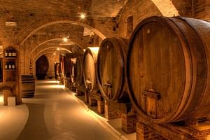 Primitivo and Negroamaro wine tour: a visit to two wineries and typical lunch. Departing from Lecce 