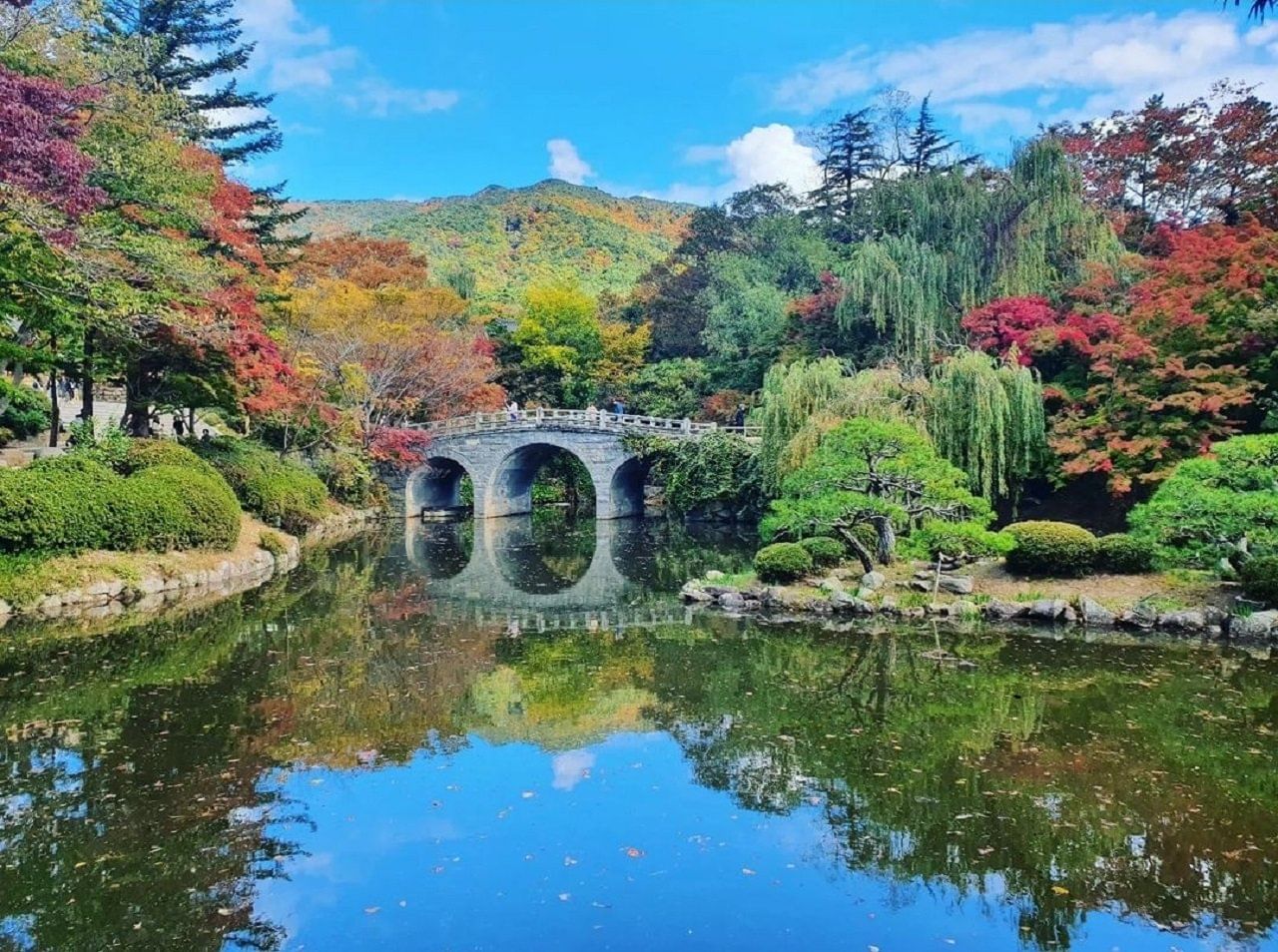 A stone bridge at Bulguksa Temple reflected in the pond, with vibrant autumn trees in the background.