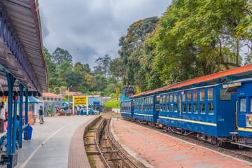 Coimbatore to Ooty Tour with Hotel and Sightseeing Excursions