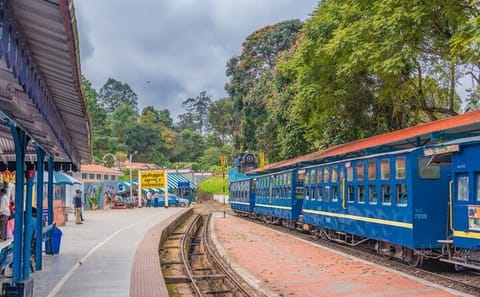 Coimbatore to Ooty Tour with Hotel and Sightseeing Excursions
