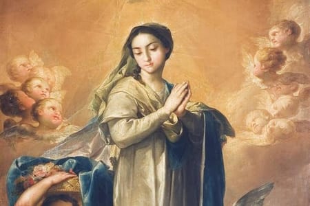 Day Tour To Coptic Cairo, Cave Crash & Virgin Mary Tree