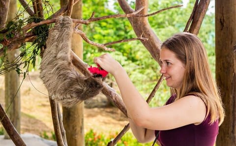 Half-Day Zipline and Wildlife Tour in Roatan, Honduras