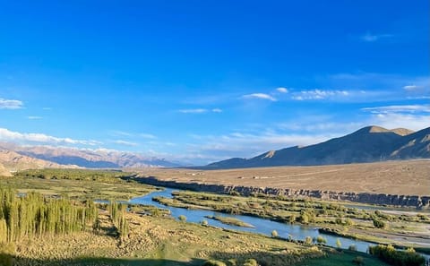 Pangong Lake Day Tour from Leh with Guided Experience