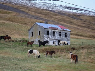 Grand Tour of Iceland (12D/12N), photo 108