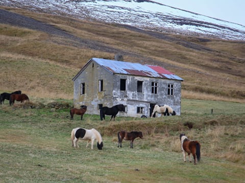 Grand Tour of Iceland (12D/12N), photo 108
