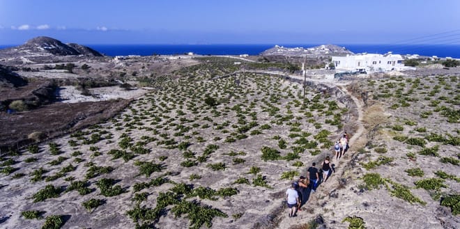 Cooking Class, Easy Hike and Snorkeling 9