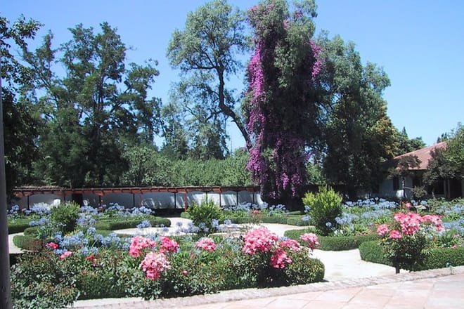Private Tour: Santa Rita Vineyard with Wine Tastings