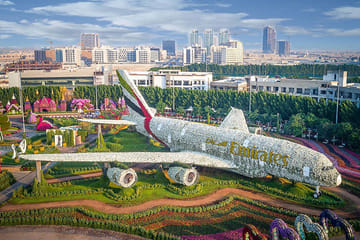 Explore Dubai Miracle Garden and Butterfly Garden Tour