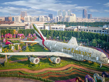 Explore Dubai Miracle Garden and Butterfly Garden Tour