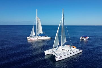 Saona Island Sailing Day Trip from La Romana
