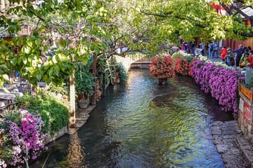 Cultural Day Tour of Baisha Village and Yufeng Temple in Lijiang