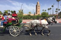 10D 9N Morocco Private Tour from Casablanca 9