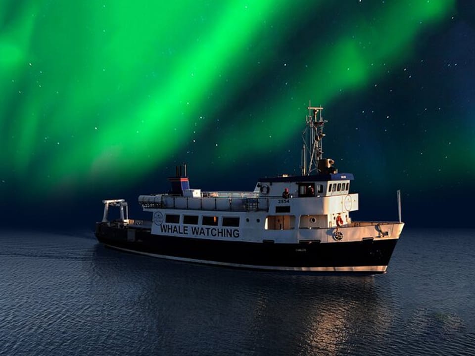 Northern Lights by Boat from Reykjavik — Iceland Discover