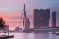 Rotterdam in 1 Day - Walking Tour - Audioguide in 7 languages 1