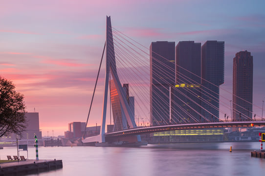 Rotterdam in 1 Day - Walking Tour - Audioguide in 7 languages