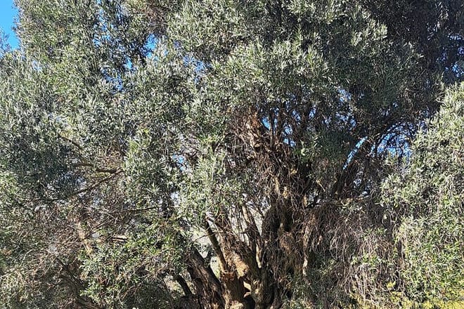 Crete's Secret Landscapes: Exploring the Island's Rural Heart 10