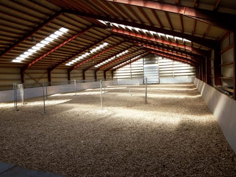 Farm visit to Hestaland, photo 5