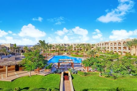New adventurer to the Red Sea and the Valley of the Nile