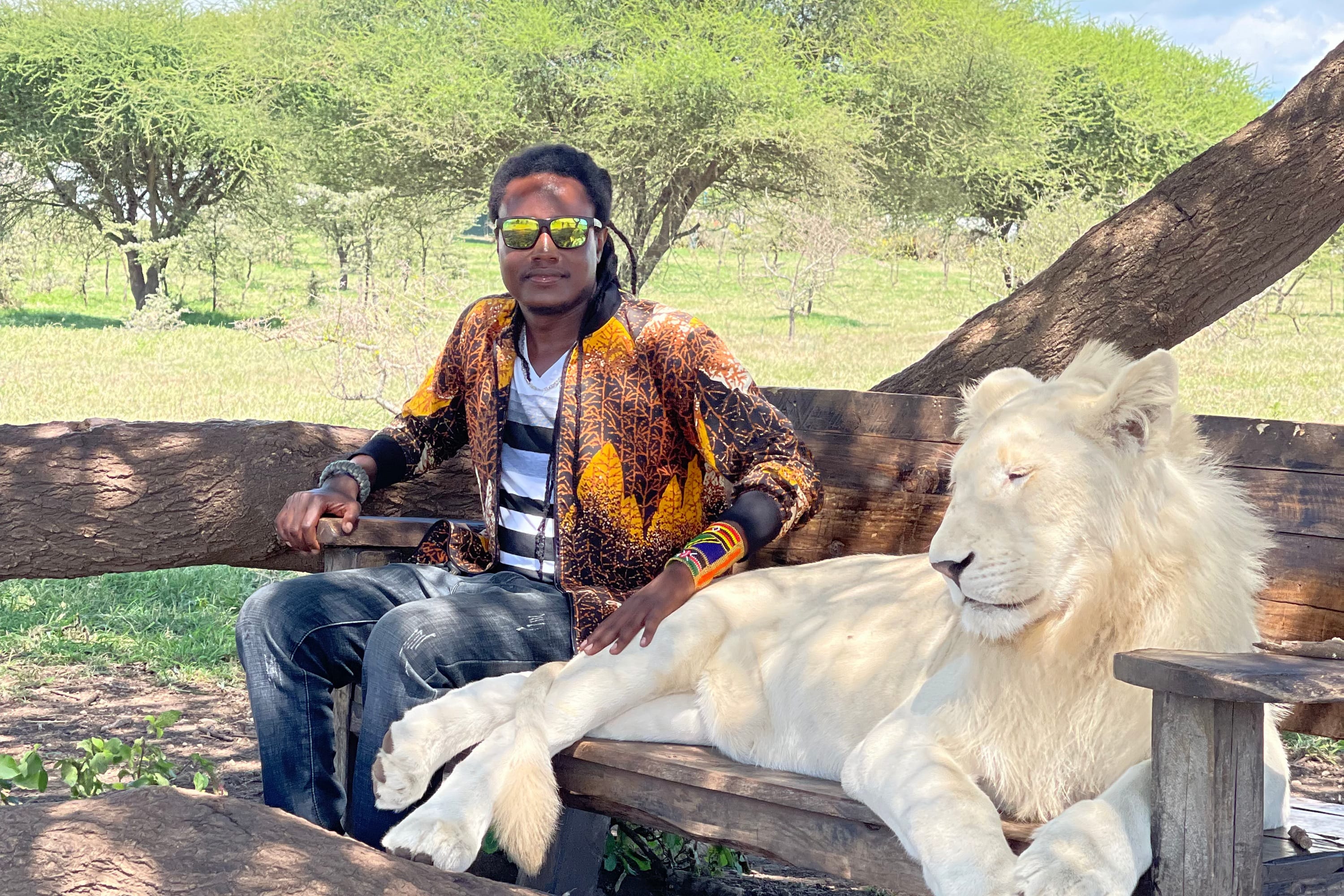 A professional guide sitting next to a white lion in a private sanctuary.