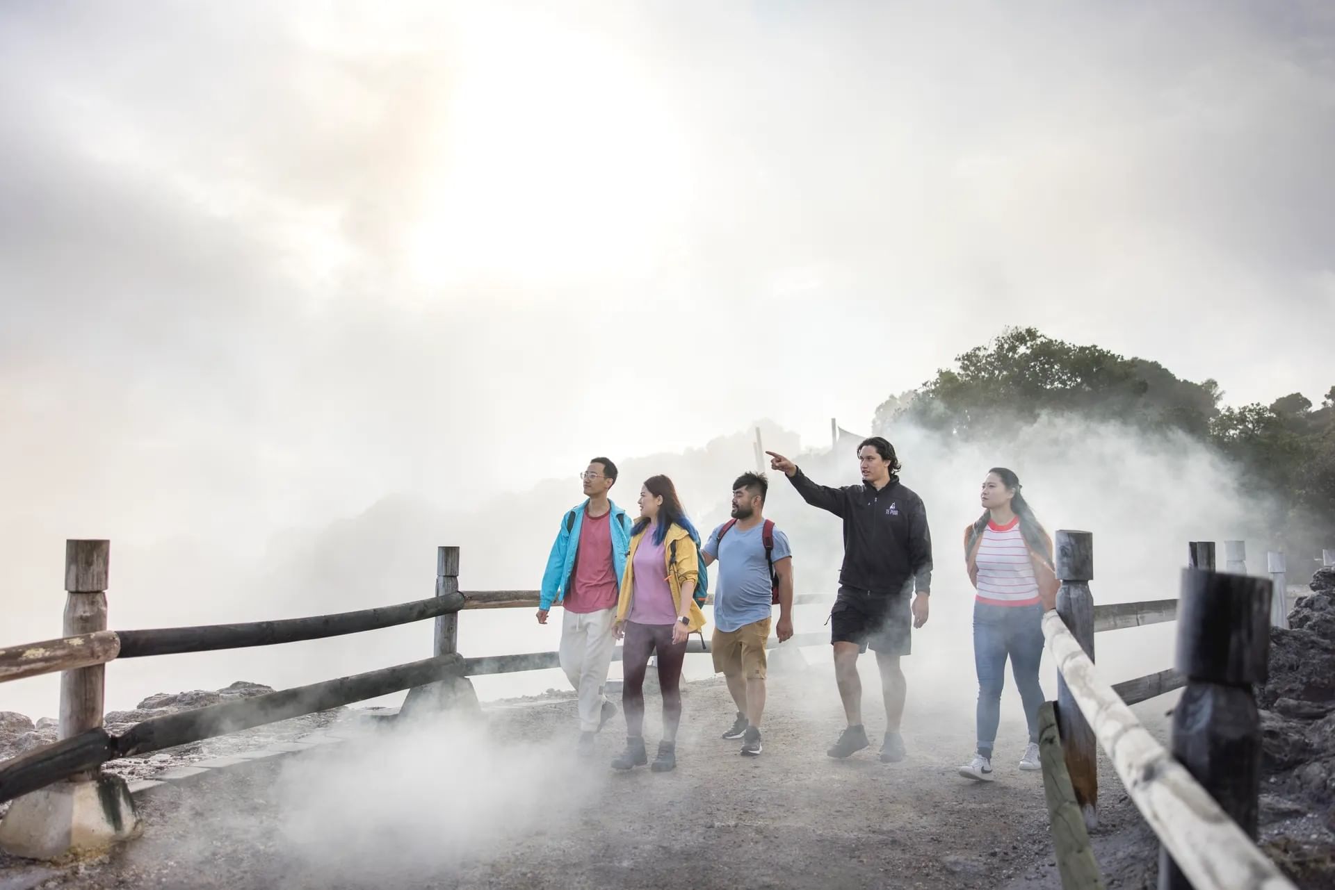 Auckland: ONE WAY TRIP to ROTORUA via TE-PUIA Geothermal Park, Maori Arts & Crafts, Polynesian Spa and Rotorua Central Hotels Drop-off