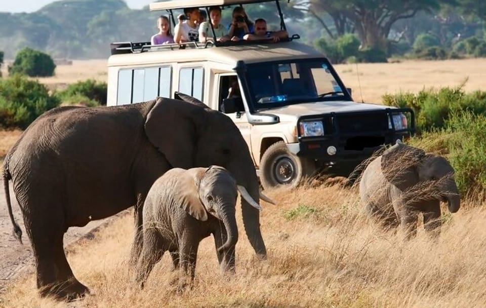 5 Day Aberdares Ol Pejeta and Samburu Safari on 4×4 Jeep