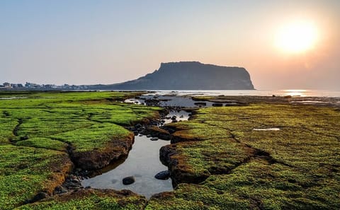 Private Full Day Tour of West Jeju Island Highlights