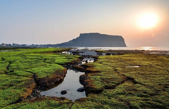 Full Day Essential Jeju Island Private tour for West Course
