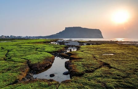 Private Full Day Tour of West Jeju Island Highlights