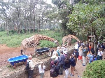 16 Days / 15 Nights – Kenya, Tanzania Exclusive Safari