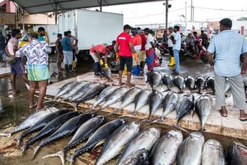 An amazing Beach Tour in Sri Lanka