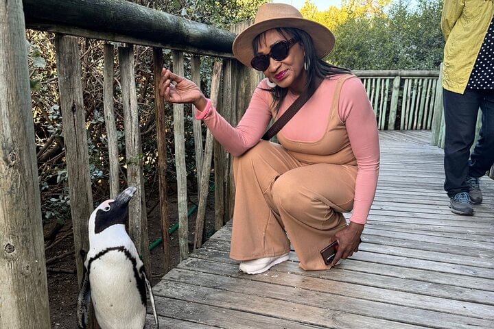 Table Mountain and Penguins Half Day Shared Group Tour