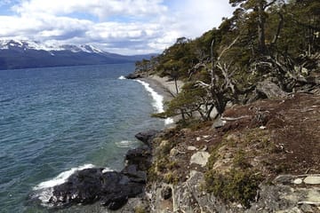 Tierra del Fuego Eco-Adventure: Canoeing and Penguin Colony Tour
