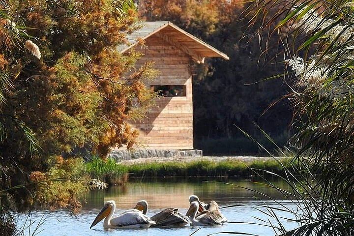 Private Desert Castles Tour in Eastern Jordan with Azraq Wetland Option